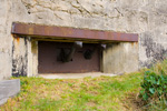 Des tortues dans un Blockhaus