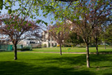 Le printemps dans le jardin des Halles