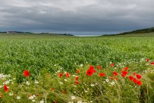 Un week-end dans le Nord