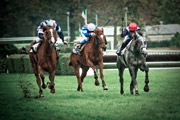 Course hippique à Auteuil prise en photo à 300 mm