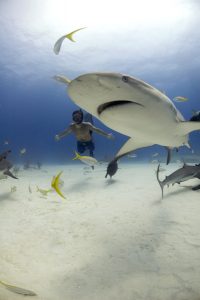 Lire la suite à propos de l’article Les Seigneurs de la mer