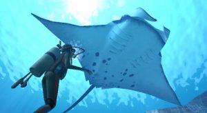 Lire la suite à propos de l’article Endless Ocean