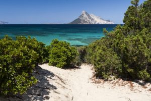 Lire la suite à propos de l’article Les plages de Sardaigne