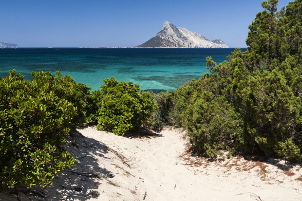Vue sur Isola Molara