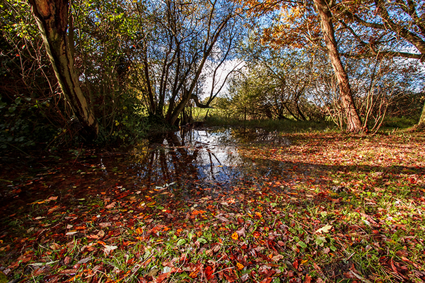Le long de la rivière 
