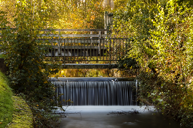 Petit pont
