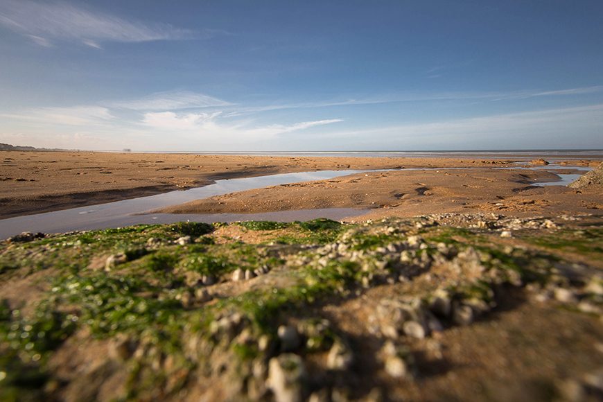 Marée basse