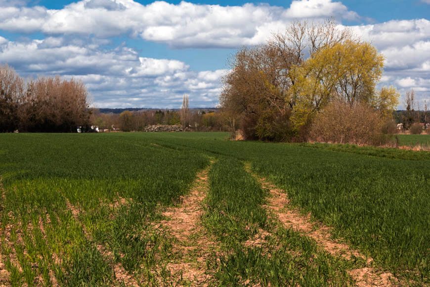 Entre Auvers-sur-Oise et l'Isle-Adam