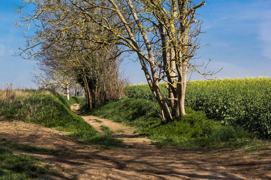 Les champs derrière le cimetière