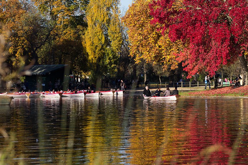 couleur-automne (14)
