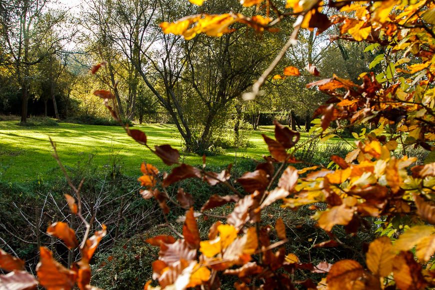 couleur-automne (2)
