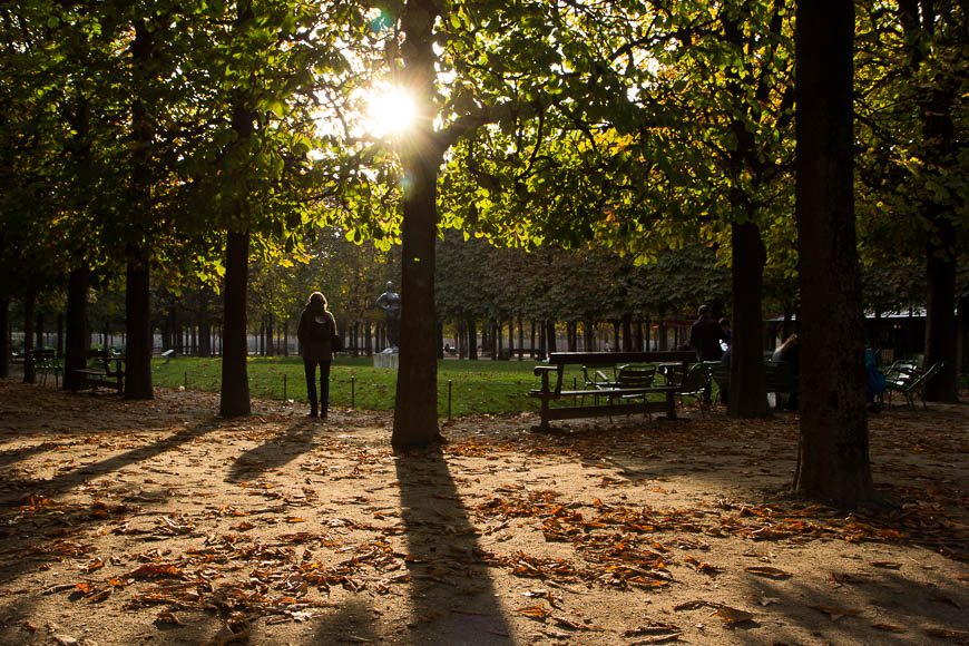couleur-automne (3)