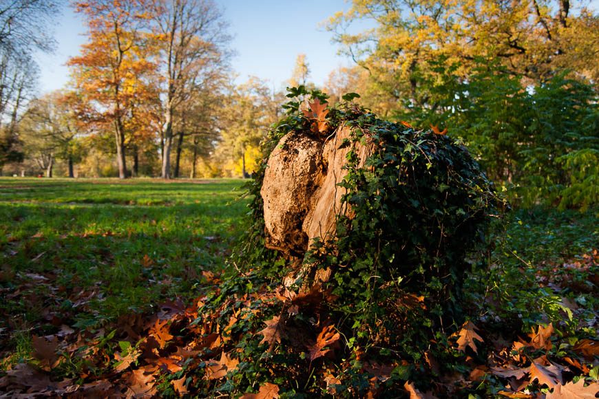couleur-automne (5)