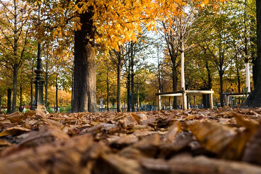 couleur-automne (7)