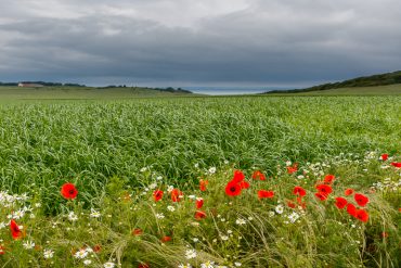 Un week-end dans le Nord