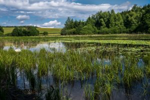 Lire la suite à propos de l’article Un week-end à Luxeuil dans les Vosges du sud