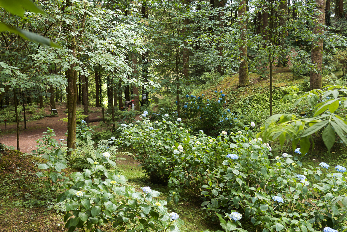 Le jardin à l’anglaise de la Cude 
