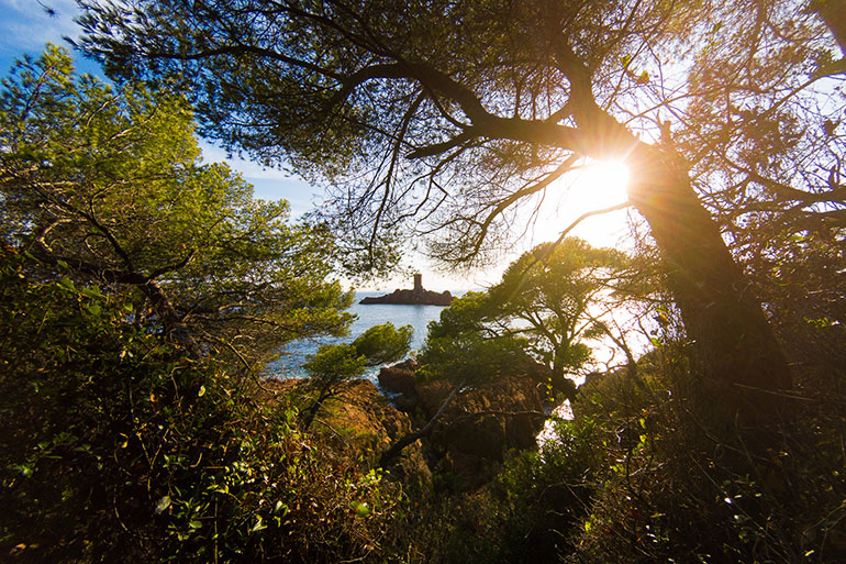 Cap Dramont et l'île d'or