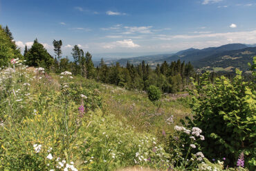 Les Monts de Genève