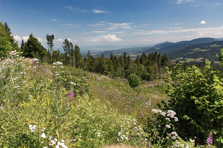 Les Monts de Genève