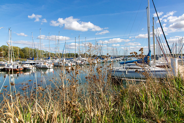 Le lac de Madine
