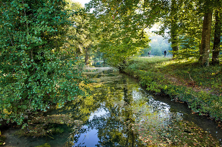 Pêche à la mouche
